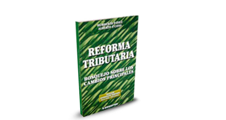 Libro Reforma Tributaria. Bosquejo sobre los cambios principales - Humberto P. Diez - Alberto P. Coto